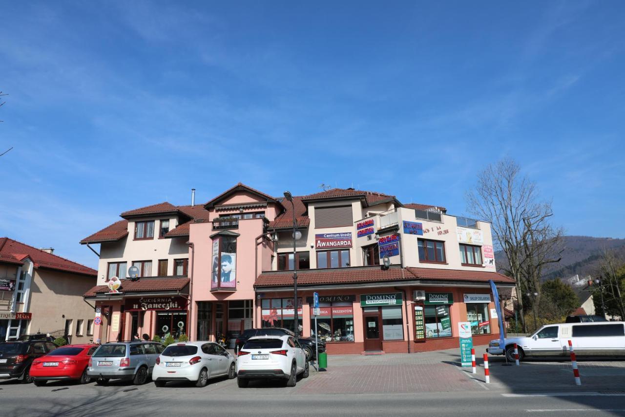 Czantoria View Apartment Ustron Kültér fotó